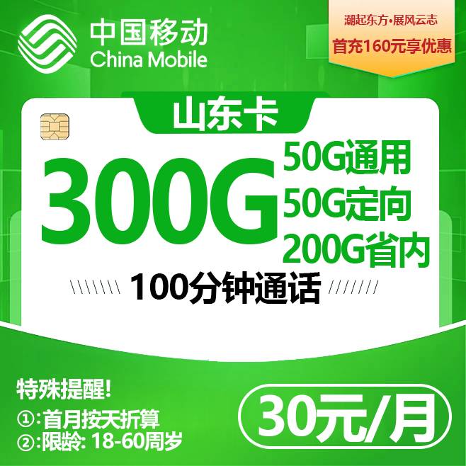 山东移动【30元300G+100分钟】