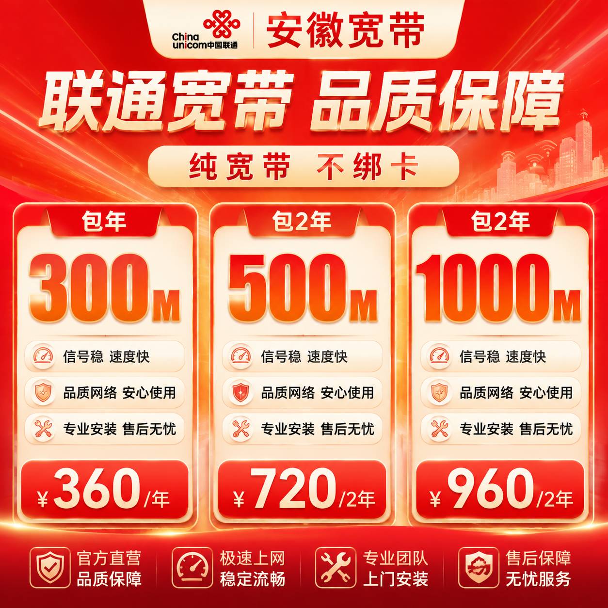 安徽联通单带【300M-1000M】