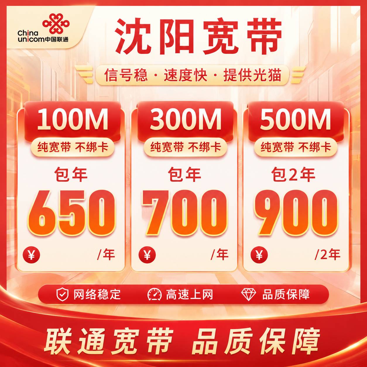 沈阳联通单宽【100M-300M】