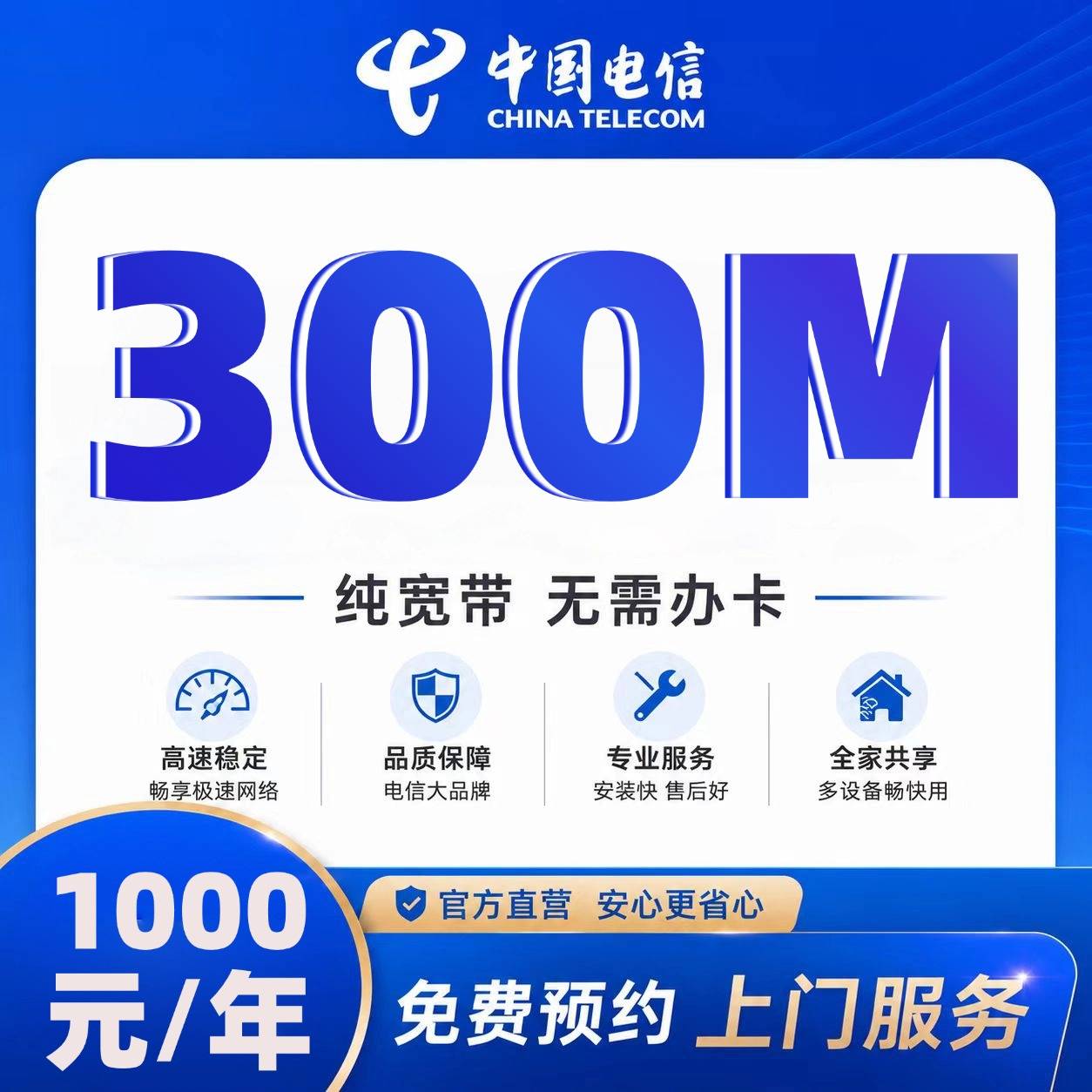 江苏电信单宽【1000元300M】