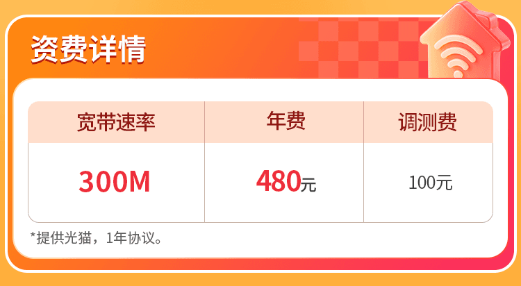 山东联通单宽【480元300M】 详情图 1