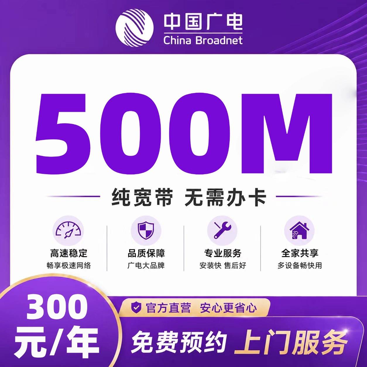 重庆广电单宽【300元500M】