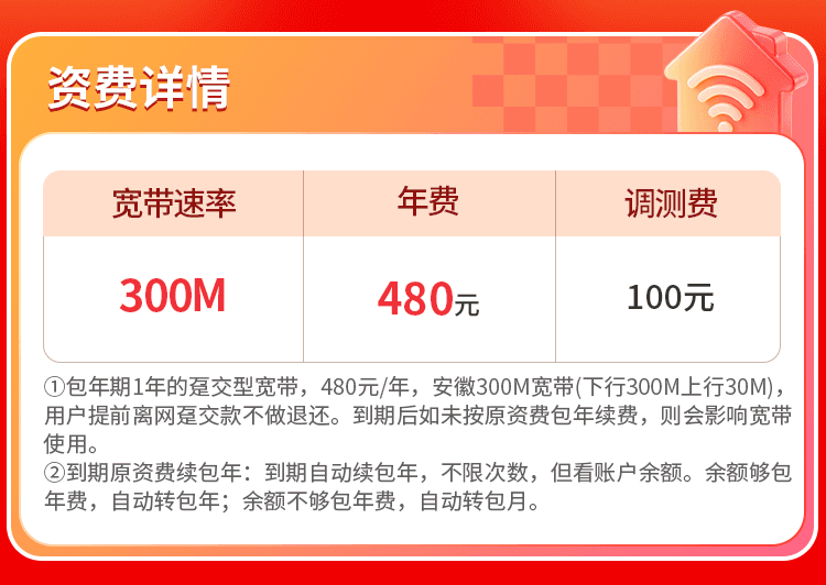安徽联通单宽【480元300M】 详情图 1