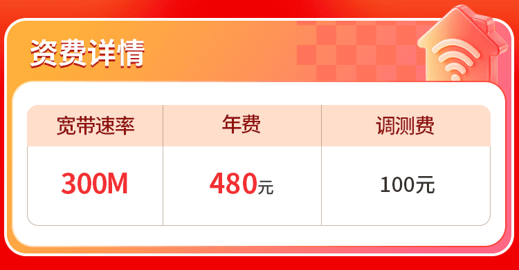 浙江联通单宽【480元300M】 详情图 1