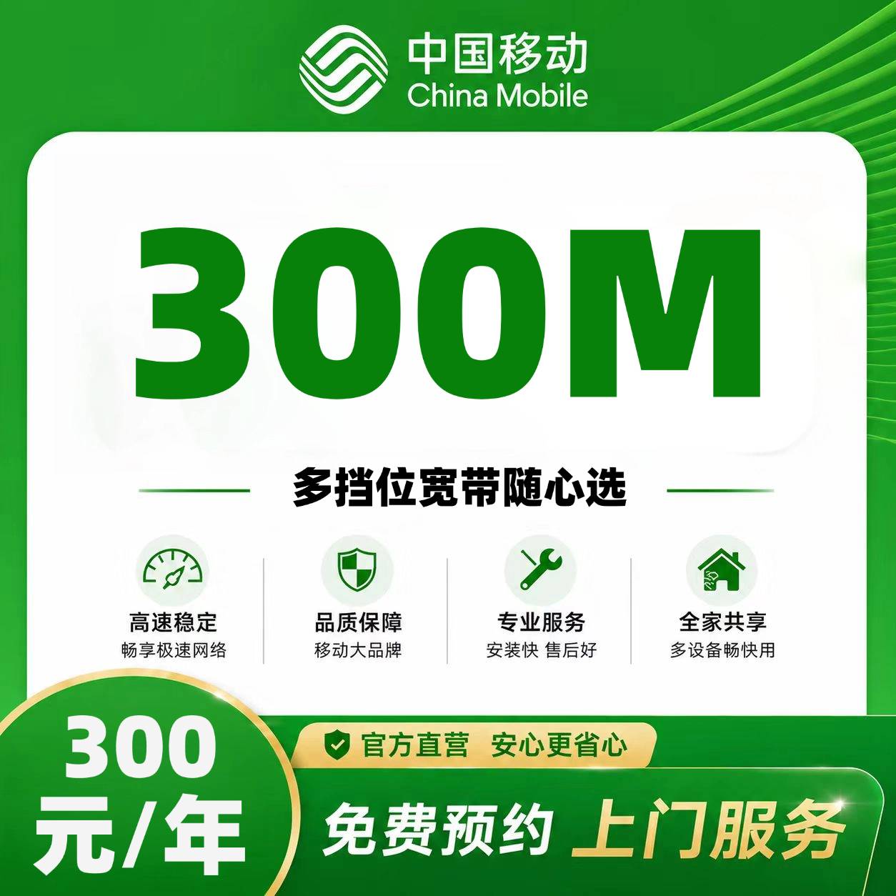 广西移动单宽【300元300M】